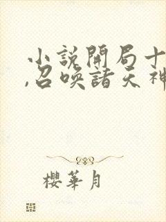 小说开局十连抽,召唤诸天神魔下载