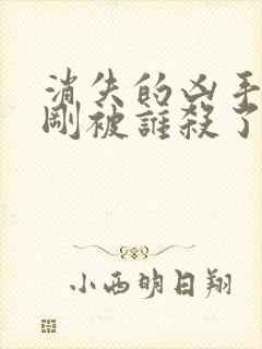 消失的凶手段志刚被谁杀了封面