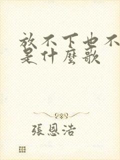 放不下也不挽留是什么歌