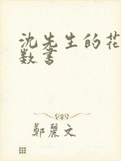 沈先生的花式调数书封面