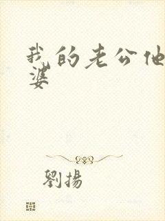 我的老公他的老婆封面