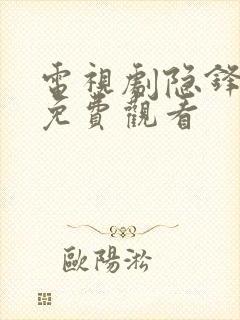 电视剧隐锋在线免费观看封面