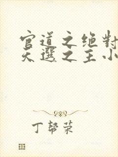 官道之绝对权力天选之主小说完本