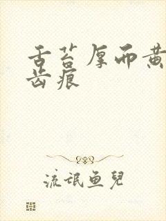 舌苔厚而黄腻有齿痕