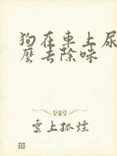 狗在车上尿了怎么去除味