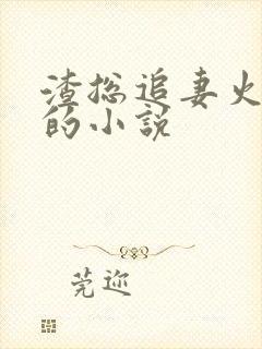 渣总追妻火葬场的小说