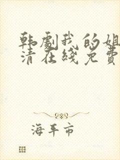 韩剧我的姐姐高清在线免费观看