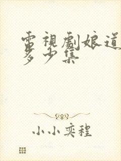 电视剧娘道一共多少集