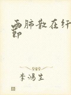 两肺散在纤维结节