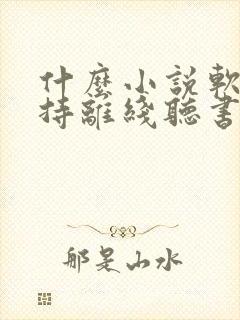 什么小说软件支持离线听书