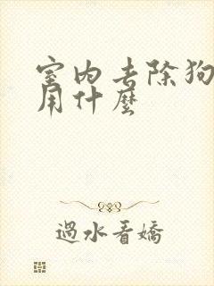 室内去除狗尿味用什么