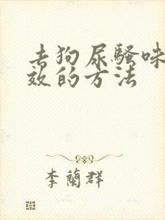 去狗尿骚味最有效的方法