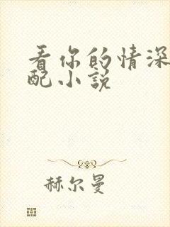 看你的情深我不配小说