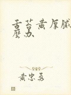 舌苔黄厚腻 怎么办