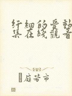 纤细的爱动漫全集在线观看封面