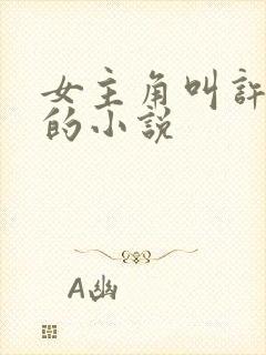 女主角叫许阮清的小说