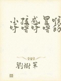 小孩感冒喉咙里呼噜呼噜的声音怎么办封面