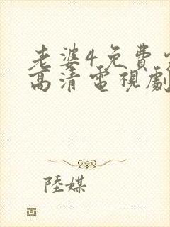 老婆4免费完整高清电视剧在线观看