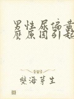 男性尿偏黄是什么原因引起的