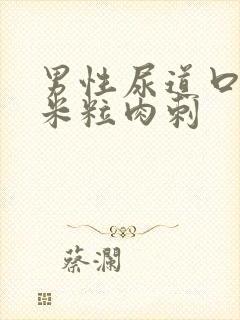 男性尿道口长小米粒肉刺