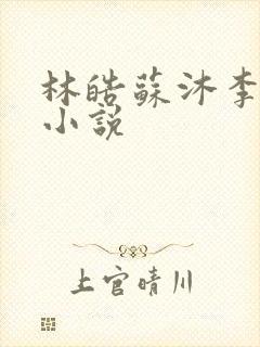 林皓苏沐李静怡小说