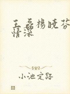 王磊杨晓芬后妈情深