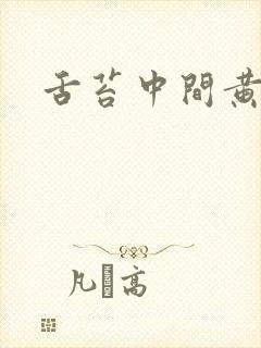 舌苔中间黄厚腻