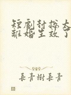 短剧封总太太的离婚生效了完整版在线观看封面