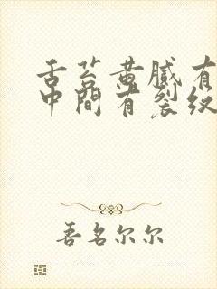 舌苔黄腻有齿痕中间有裂纹吃什么药