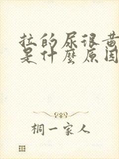 拉的尿很黄很臭是什么原因