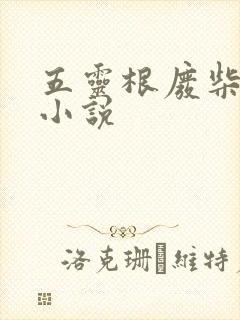 五灵根废柴修真小说