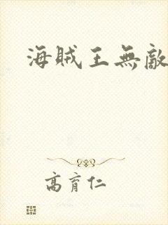 海贼王无敌小说