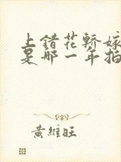 上错花轿嫁对郎是哪一年拍的封面