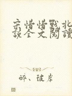 宋惜惜战北望小说全文阅读
