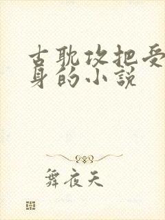 古耽攻把受当替身的小说