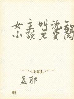 女主叫沈知薇的小说免费阅读