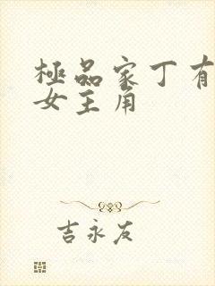 极品家丁有几个女主角封面