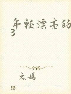 年轻漂亮的嫂子3封面