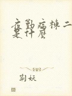 夜勤病栋二讲的是什么