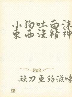 小狗吐白沫不吃东西没精神怎么办