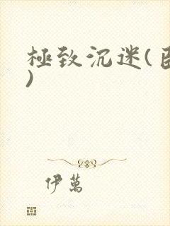 极致沉迷(臣年)封面