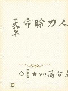 天命赊刀人茅小草