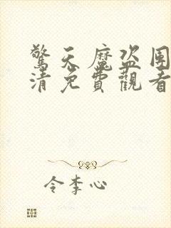 惊天魔盗团4高清免费观看