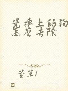 瓷砖上的狗尿渍怎么去除