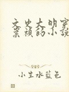 文史大明穿越成崇祯的小说