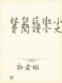 林楚苏彻小说免费阅读全文最新章节