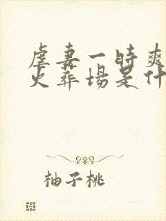 虐妻一时爽追妻火葬场是什么意思封面