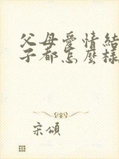 父母爱情结局孩子都怎么样