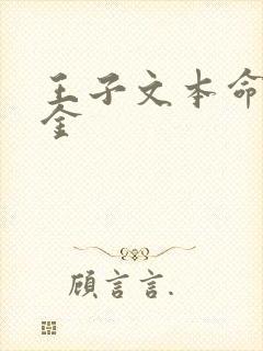 王子文本命恶千金封面