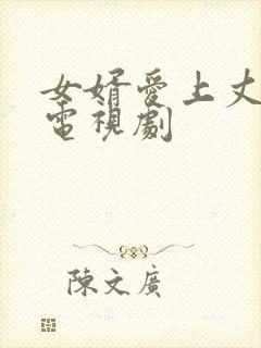 女婿爱上丈母娘电视剧